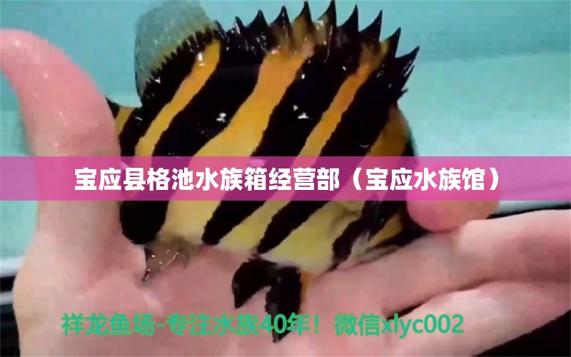 寶應(yīng)縣格池水族箱經(jīng)營(yíng)部（寶應(yīng)水族館） 魚(yú)缸/水族箱