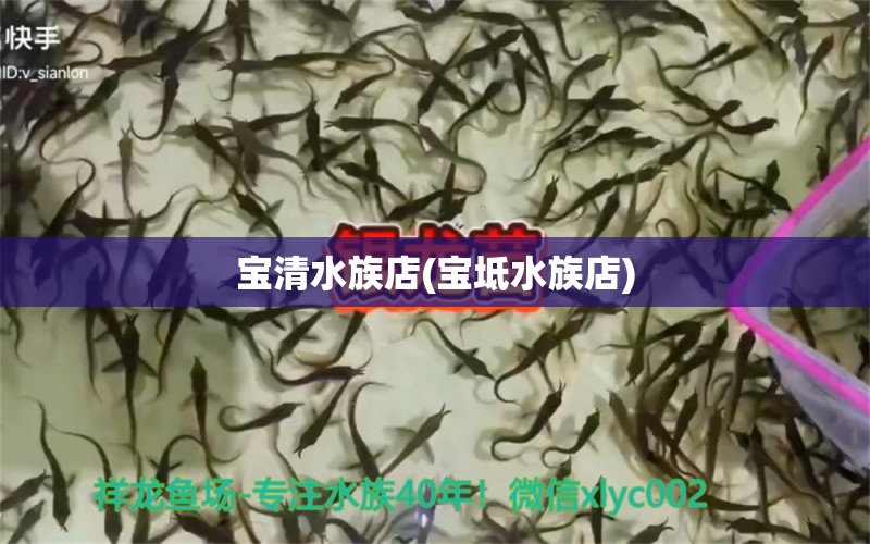 寶清水族店(寶坻水族店) 過背金龍魚 第1張