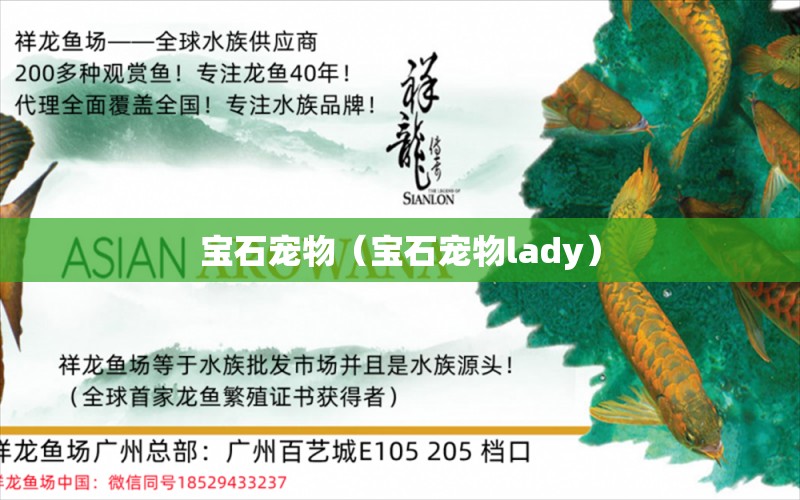 寶石寵物（寶石寵物lady）