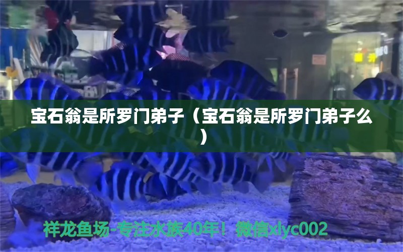 寶石翁是所羅門弟子（寶石翁是所羅門弟子么）