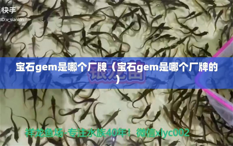 寶石gem是哪個(gè)廠(chǎng)牌（寶石gem是哪個(gè)廠(chǎng)牌的）