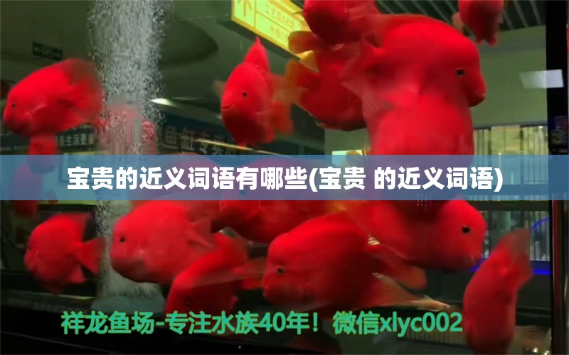 寶貴的近義詞語有哪些(寶貴 的近義詞語) 大正錦鯉魚