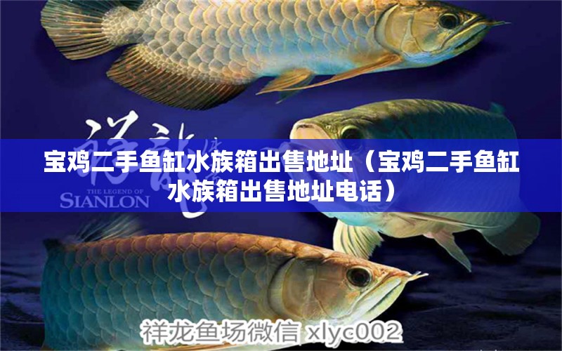 寶雞二手魚缸水族箱出售地址（寶雞二手魚缸水族箱出售地址電話） 鸚鵡魚 第1張