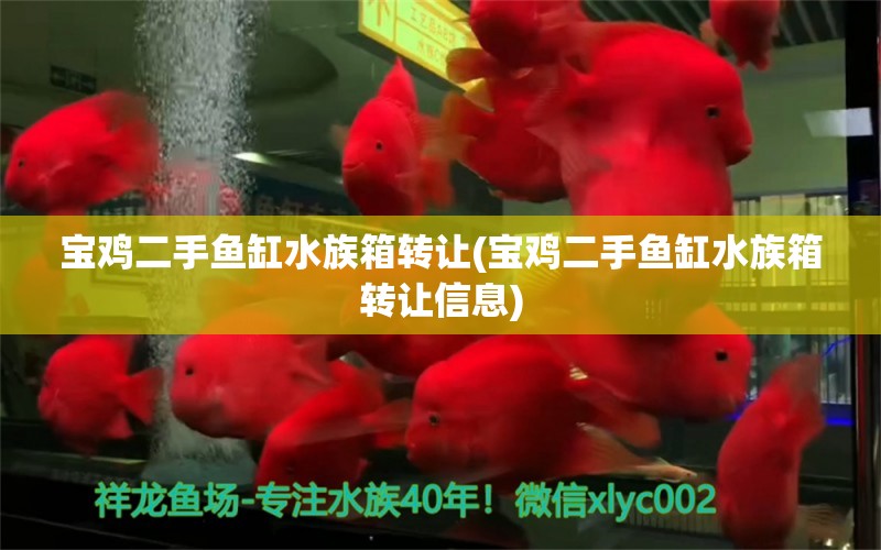 寶雞二手魚缸水族箱轉(zhuǎn)讓(寶雞二手魚缸水族箱轉(zhuǎn)讓信息)