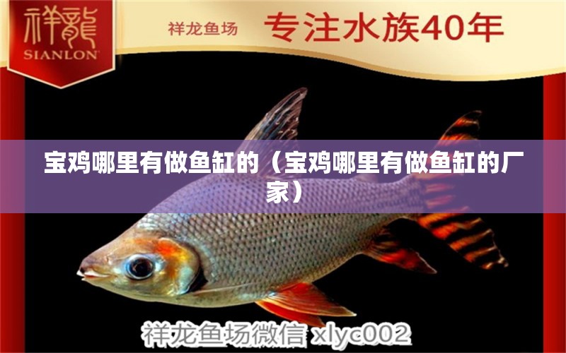 寶雞哪里有做魚缸的（寶雞哪里有做魚缸的廠家）