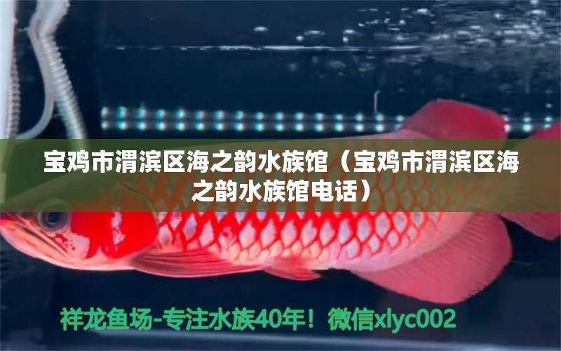 寶雞市渭濱區(qū)海之韻水族館（寶雞市渭濱區(qū)海之韻水族館電話）