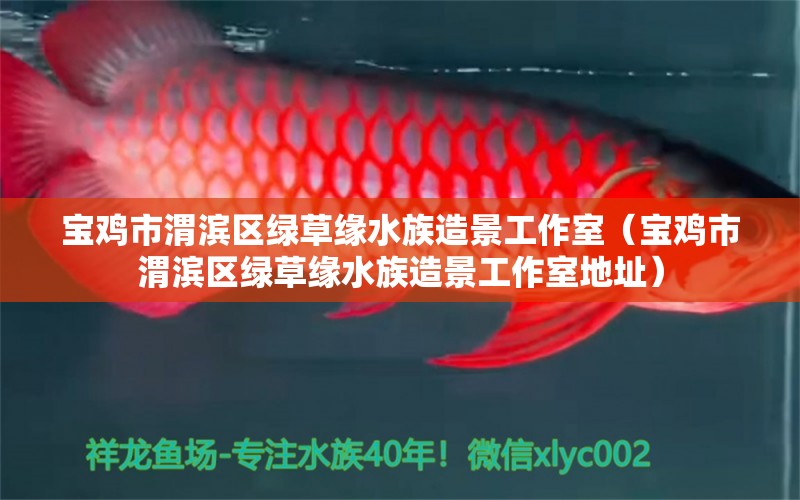 寶雞市渭濱區(qū)綠草緣水族造景工作室（寶雞市渭濱區(qū)綠草緣水族造景工作室地址）