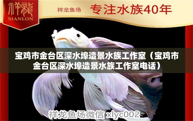 寶雞市金臺區(qū)深水埠造景水族工作室（寶雞市金臺區(qū)深水埠造景水族工作室電話）