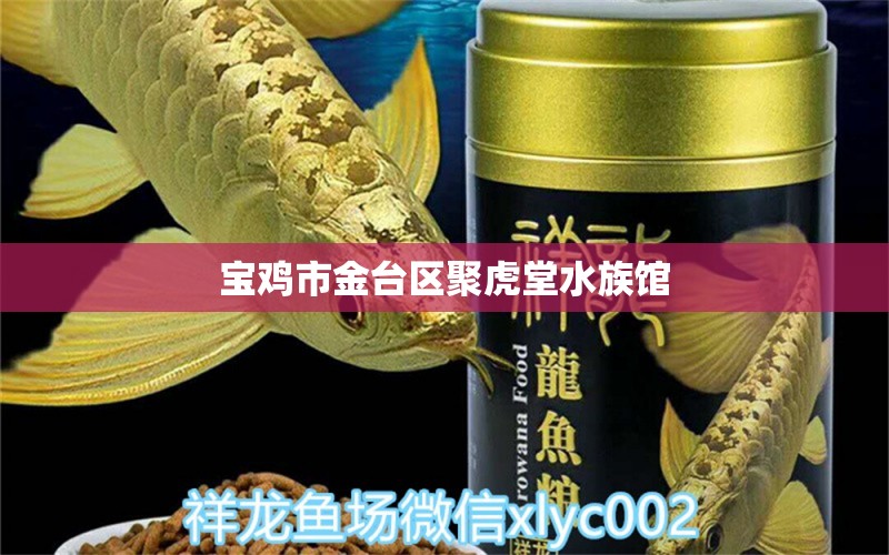 寶雞市金臺(tái)區(qū)聚虎堂水族館