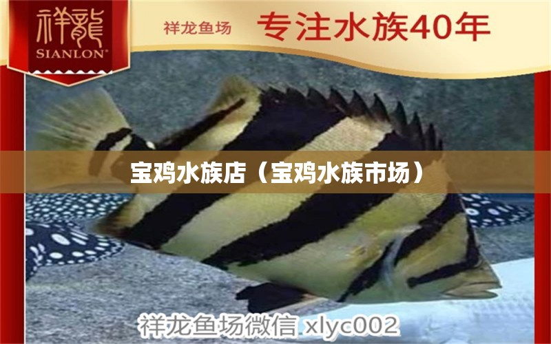 寶雞水族店（寶雞水族市場(chǎng)） 觀賞魚(yú)市場(chǎng)