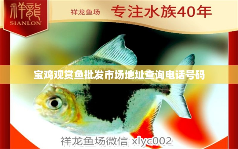 寶雞觀賞魚(yú)批發(fā)市場(chǎng)地址查詢(xún)電話(huà)號(hào)碼