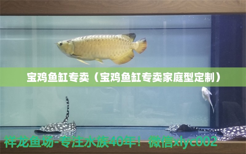 寶雞魚(yú)缸專賣(mài)（寶雞魚(yú)缸專賣(mài)家庭型定制）