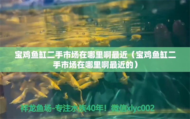 寶雞魚(yú)缸二手市場(chǎng)在哪里啊最近（寶雞魚(yú)缸二手市場(chǎng)在哪里啊最近的）