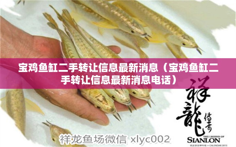 寶雞魚缸二手轉(zhuǎn)讓信息最新消息（寶雞魚缸二手轉(zhuǎn)讓信息最新消息電話） 祥龍水族醫(yī)院