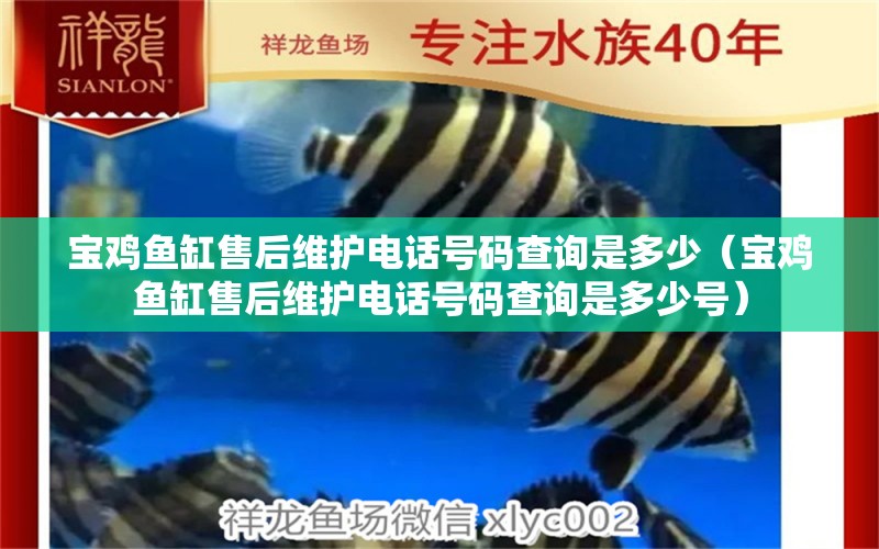 寶雞魚(yú)缸售后維護(hù)電話號(hào)碼查詢是多少（寶雞魚(yú)缸售后維護(hù)電話號(hào)碼查詢是多少號(hào)）