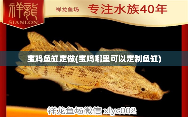 寶雞魚(yú)缸定做(寶雞哪里可以定制魚(yú)缸)