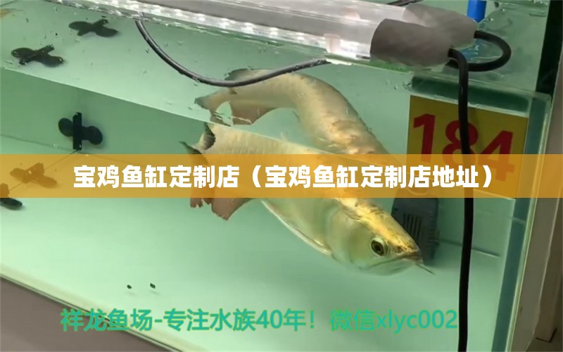 寶雞魚缸定制店（寶雞魚缸定制店地址） 其他品牌魚缸