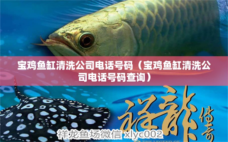 寶雞魚缸清洗公司電話號(hào)碼（寶雞魚缸清洗公司電話號(hào)碼查詢）