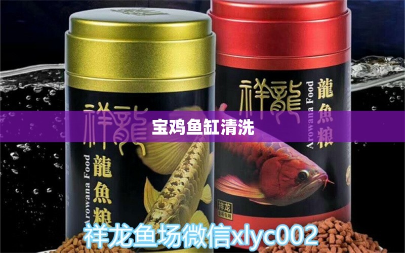 寶雞魚缸清洗