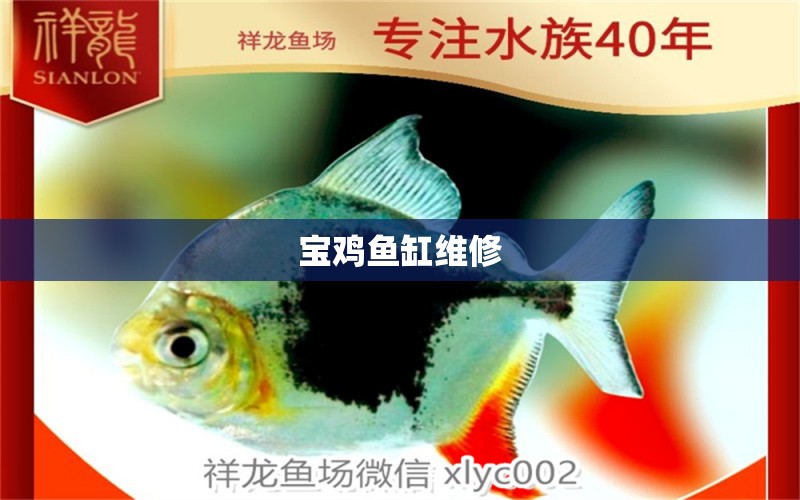 寶雞魚缸維修