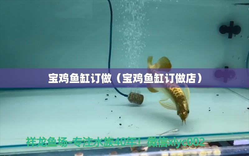 寶雞魚缸訂做（寶雞魚缸訂做店）