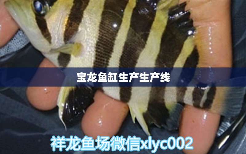 寶龍魚缸生產(chǎn)生產(chǎn)線