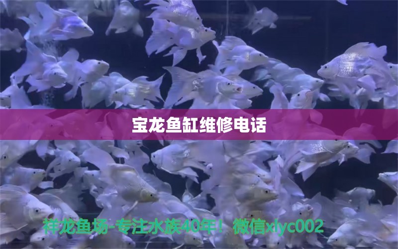 寶龍魚缸維修電話