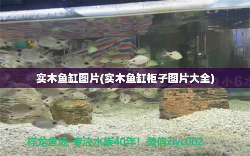 實木魚缸圖片(實木魚缸柜子圖片大全) 水族世界