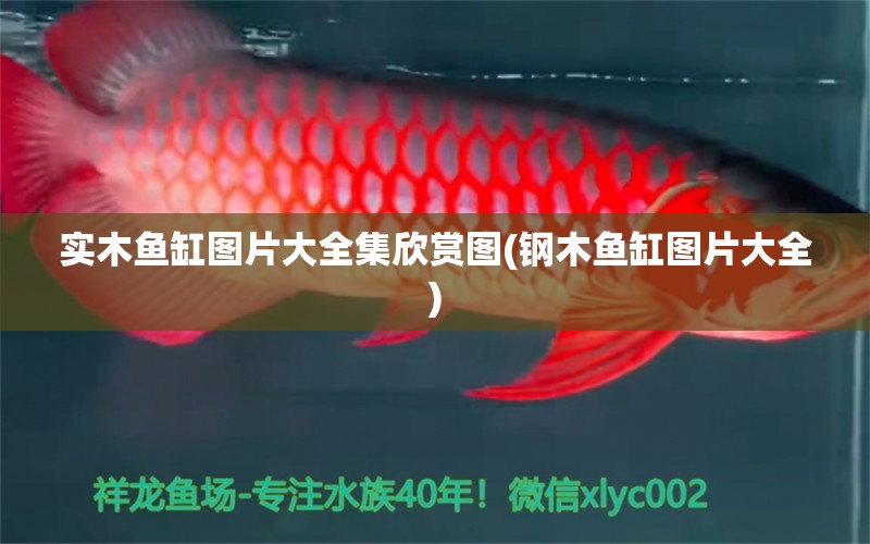 實木魚缸圖片大全集欣賞圖(鋼木魚缸圖片大全) 潛水艇魚