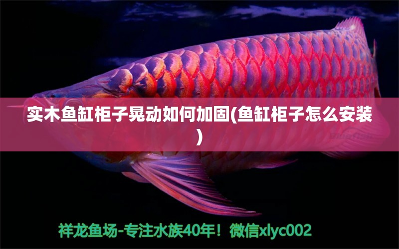 實木魚缸柜子晃動如何加固(魚缸柜子怎么安裝) BD魟魚 第1張