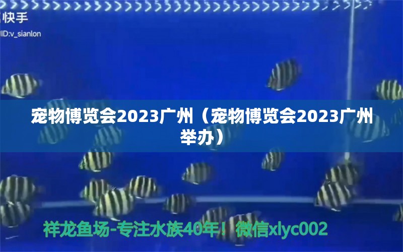 寵物博覽會2023廣州（寵物博覽會2023廣州舉辦） 廣州水族批發(fā)市場