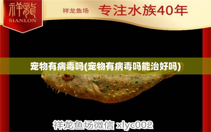 寵物有病毒嗎(寵物有病毒嗎能治好嗎) 紅龍魚魚糧飼料