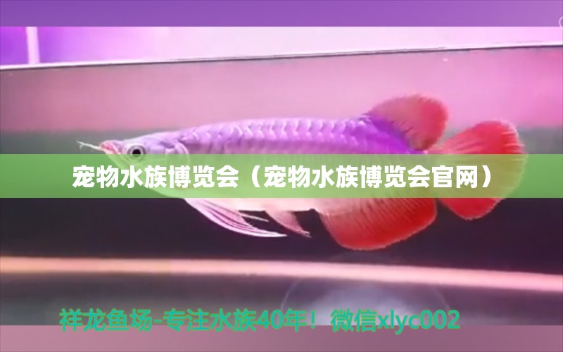 寵物水族博覽會（寵物水族博覽會官網(wǎng)）