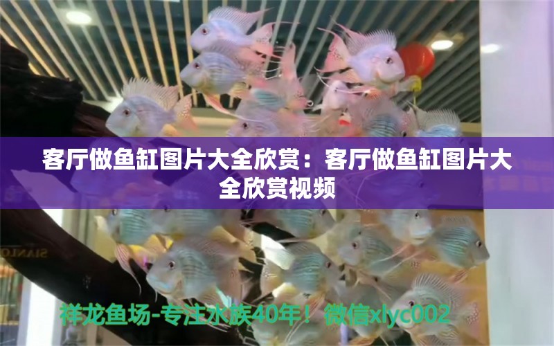 客廳做魚缸圖片大全欣賞：客廳做魚缸圖片大全欣賞視頻 觀賞魚市場（混養(yǎng)魚）