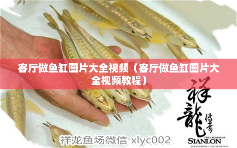 客廳做魚缸圖片大全視頻（客廳做魚缸圖片大全視頻教程） 白寫錦鯉魚