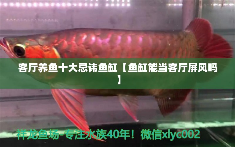 客廳養(yǎng)魚十大忌諱魚缸【魚缸能當(dāng)客廳屏風(fēng)嗎】 龍魚批發(fā)