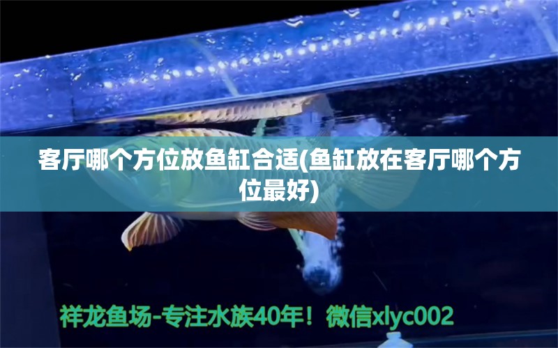 客廳哪個方位放魚缸合適(魚缸放在客廳哪個方位最好) 紅白錦鯉魚