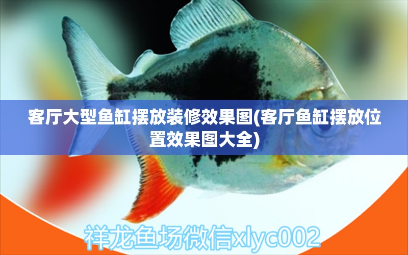 客廳大型魚缸擺放裝修效果圖(客廳魚缸擺放位置效果圖大全)