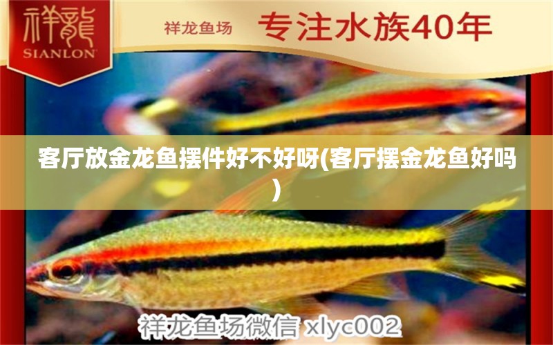 客廳放金龍魚擺件好不好呀(客廳擺金龍魚好嗎)