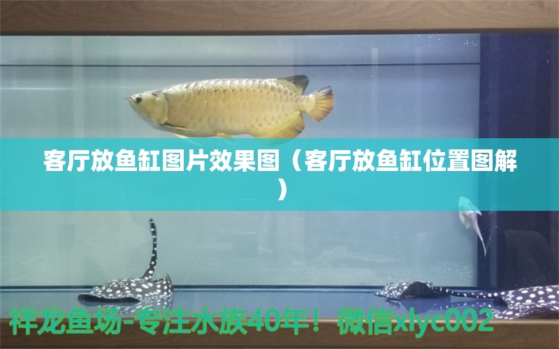 客廳放魚缸圖片效果圖（客廳放魚缸位置圖解）