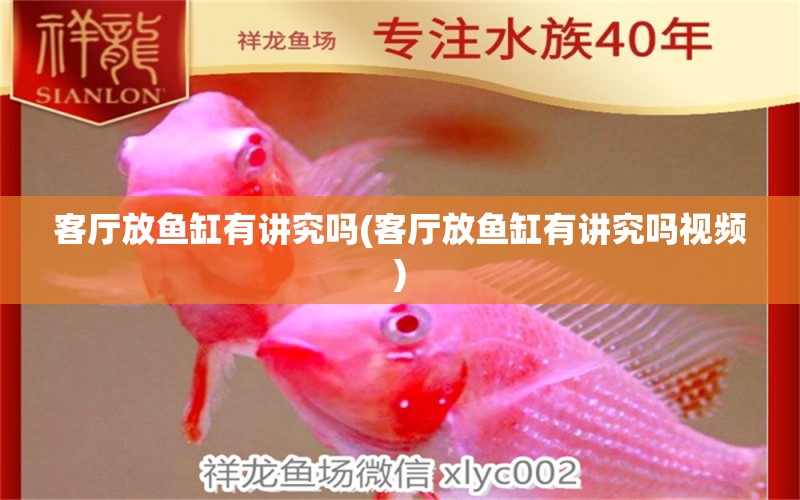 客廳放魚缸有講究嗎(客廳放魚缸有講究嗎視頻) 成吉思汗鯊（球鯊）魚 第1張