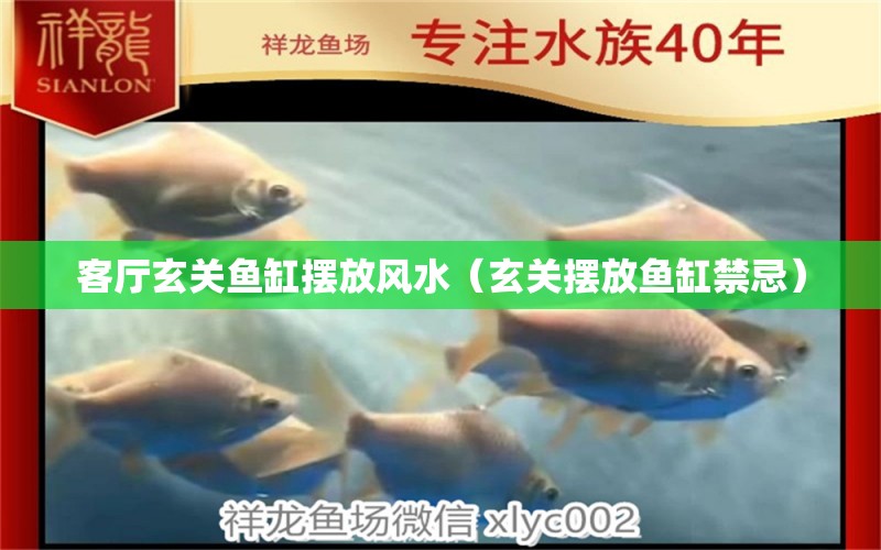 客廳玄關魚缸擺放風水（玄關擺放魚缸禁忌） 魚缸風水