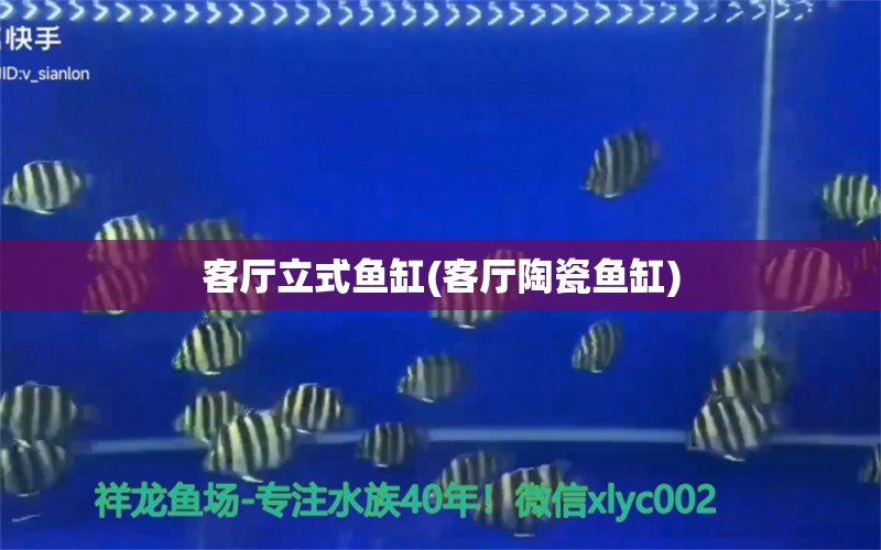 客廳立式魚缸(客廳陶瓷魚缸) 過背金龍魚