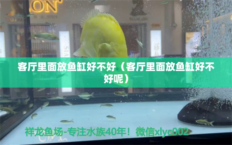 客廳里面放魚缸好不好（客廳里面放魚缸好不好呢）