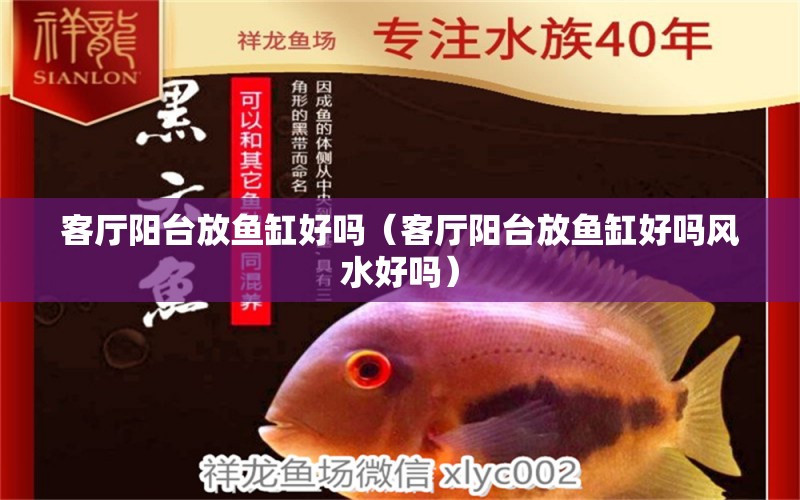 客廳陽(yáng)臺(tái)放魚(yú)缸好嗎（客廳陽(yáng)臺(tái)放魚(yú)缸好嗎風(fēng)水好嗎）