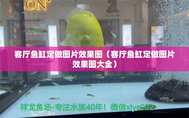 客廳魚缸定做圖片效果圖（客廳魚缸定做圖片效果圖大全）