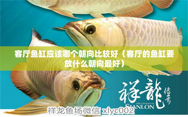 客廳魚(yú)缸應(yīng)該哪個(gè)朝向比較好（客廳的魚(yú)缸要放什么朝向最好）