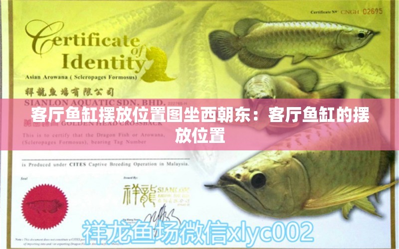 客廳魚(yú)缸擺放位置圖坐西朝東：客廳魚(yú)缸的擺放位置