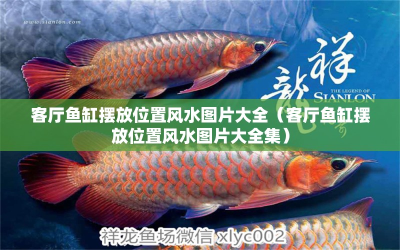 客廳魚缸擺放位置風(fēng)水圖片大全（客廳魚缸擺放位置風(fēng)水圖片大全集）