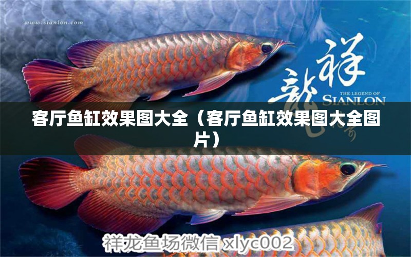 客廳魚缸效果圖大全（客廳魚缸效果圖大全圖片）